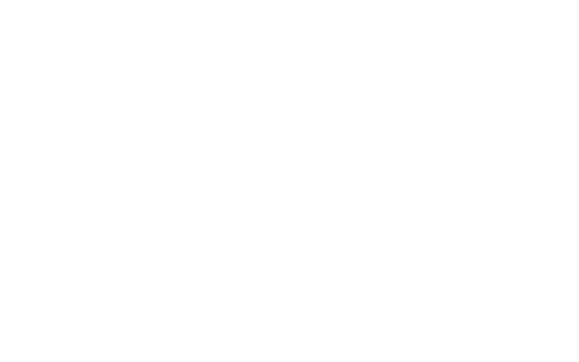 Clémentine Anfray - Avocate en droits des sociétés pour entrepreneurs